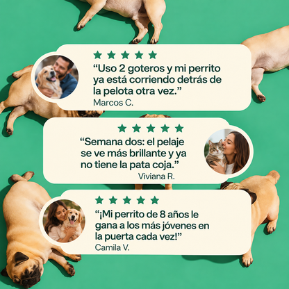 PETPRINT | Multivitamínico Líquido para Perros y Gatos
