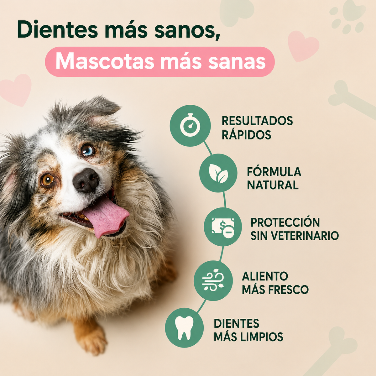 DENTACLEAN | Spray Bucal para Perros y Gatos