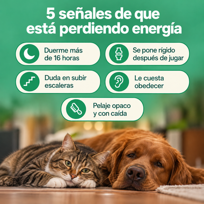 PETPRINT | Multivitamínico Líquido para Perros y Gatos