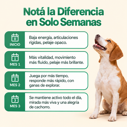 PETPRINT | Multivitamínico Líquido para Perros y Gatos
